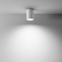 Maytoni Technical Atom Потолочный светильник цвет: белый C016CL-01W