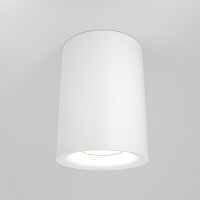 Maytoni Technical Slim Потолочный светильник цвет: белый C012CL-01W