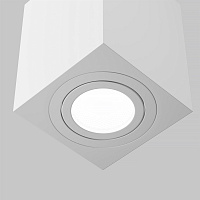Maytoni Technical Atom Потолочный светильник цвет: белый C017CL-01W