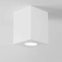 Maytoni Technical Atom Потолочный светильник цвет: белый C017CL-01W