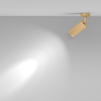 Maytoni Technical Focus Design Потолочный светильник цвет: матовое золото C034CL-01G
