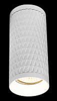 Maytoni Technical Focus Design Потолочный светильник цвет: белый C036CL-01W