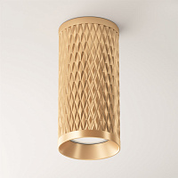 Maytoni Technical Focus Design Потолочный светильник цвет: матовое золото C036CL-01G