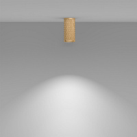 Maytoni Technical Focus Design Потолочный светильник цвет: матовое золото C036CL-01G