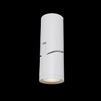 Maytoni Technical Tube Потолочный светильник цвет: белый C019CW-01W