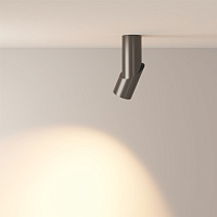 Maytoni Technical Dafne Потолочный светильник цвет: черный C027CL-L10B