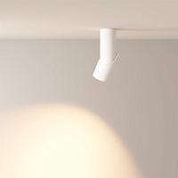 Maytoni Technical Dafne Потолочный светильник цвет: белый C027CL-L10W