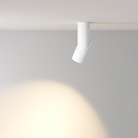 Maytoni Technical Dafne Потолочный светильник цвет: белый C027CL-L10W