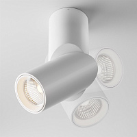 Maytoni Technical Dafne Потолочный светильник цвет: белый C027CL-L10W
