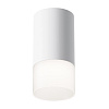 Maytoni Technical Pauline Потолочный светильник цвет: белый C007CW-01W