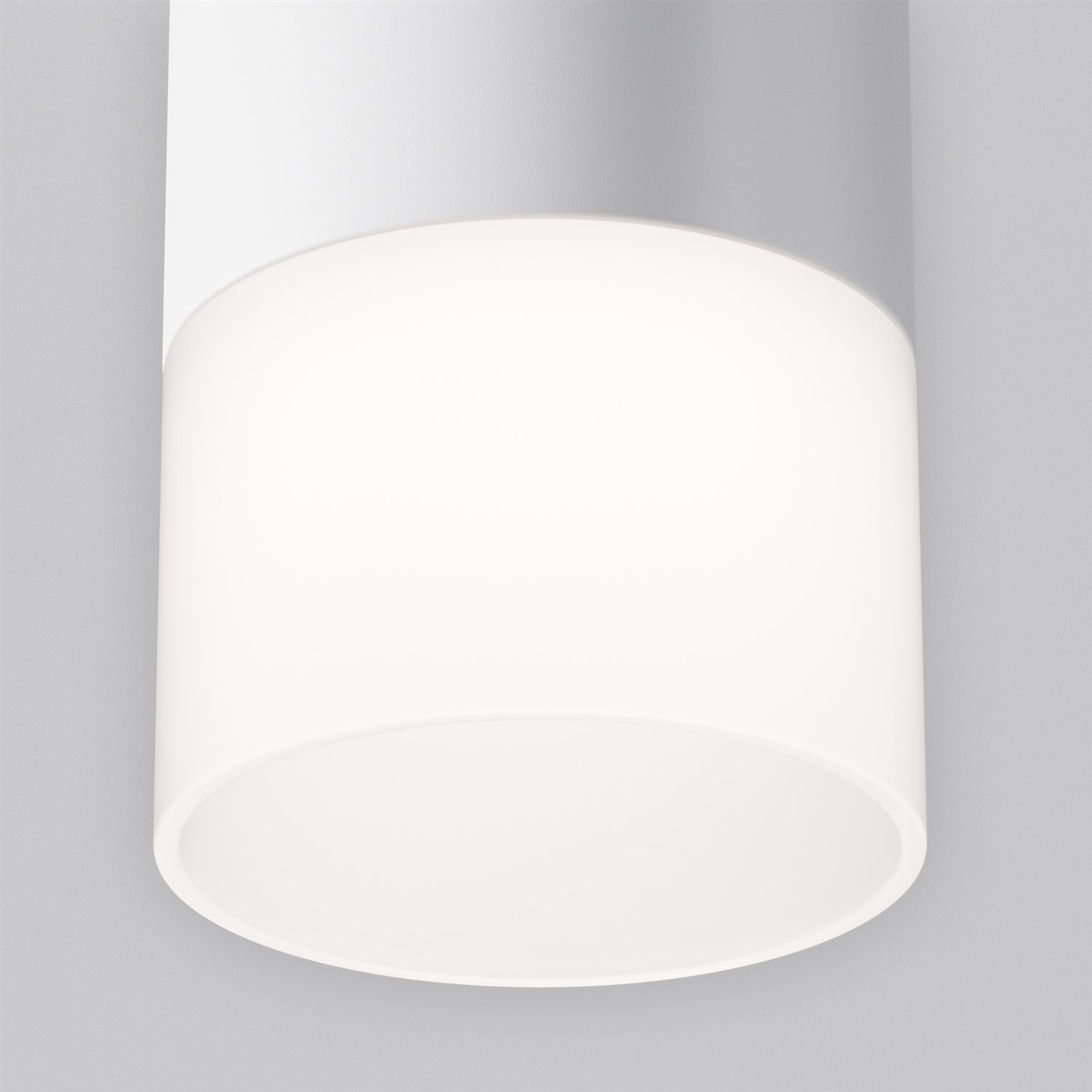 Maytoni Technical Pauline Потолочный светильник цвет: белый C007CW-01W