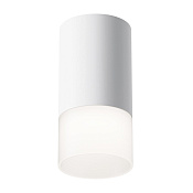 Maytoni Technical Pauline Потолочный светильник цвет: белый C007CW-01W