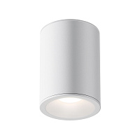 Maytoni Technical Zoom Потолочный светильник цвет: белый C029CL-01W