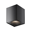 Maytoni Technical Zoom Потолочный светильник цвет: черный C030CL-01B