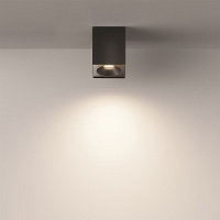 Maytoni Technical Zoom Потолочный светильник цвет: черный C030CL-01B