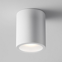 Maytoni Technical Conik gyps Потолочный светильник цвет: белый C001CW-01W