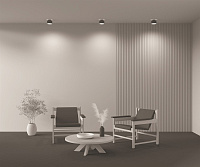 Maytoni Technical Planet Потолочный светильник цвет: черный C009CW-L16B