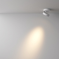 Maytoni Technical Magic Потолочный светильник цвет: белый C022CL-L12W