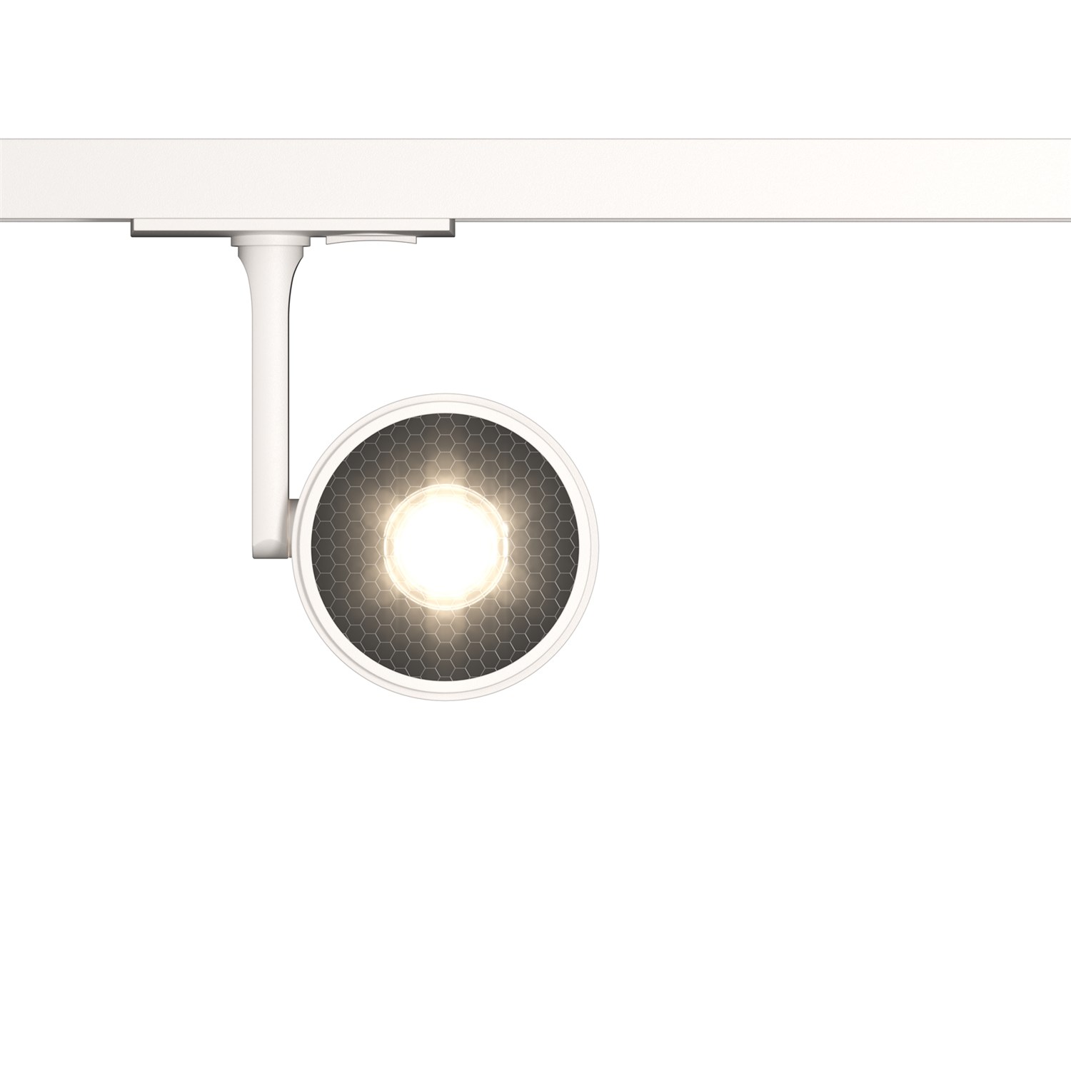 Maytoni Technical Oko Трековый светильник цвет: белый TR024-1-10W3K
