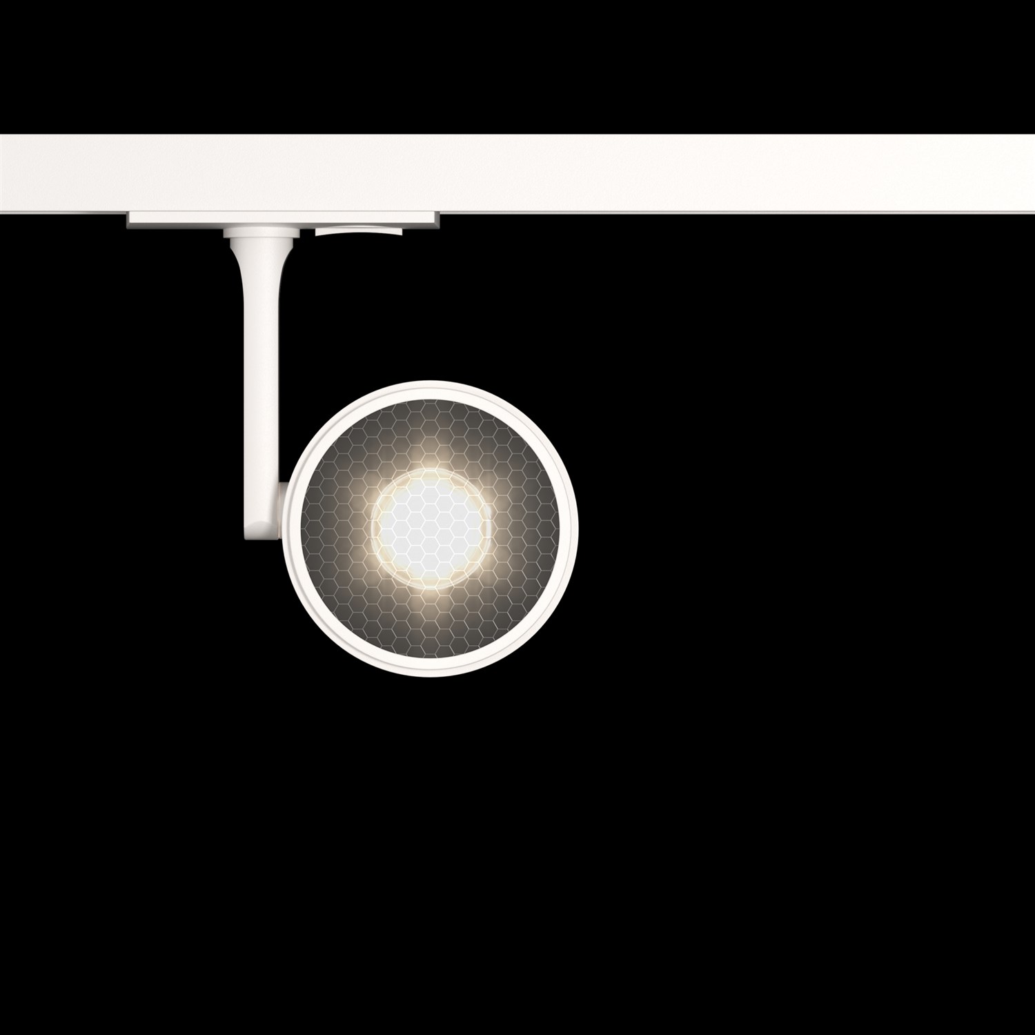 Maytoni Technical Oko Трековый светильник цвет: белый TR024-1-10W3K