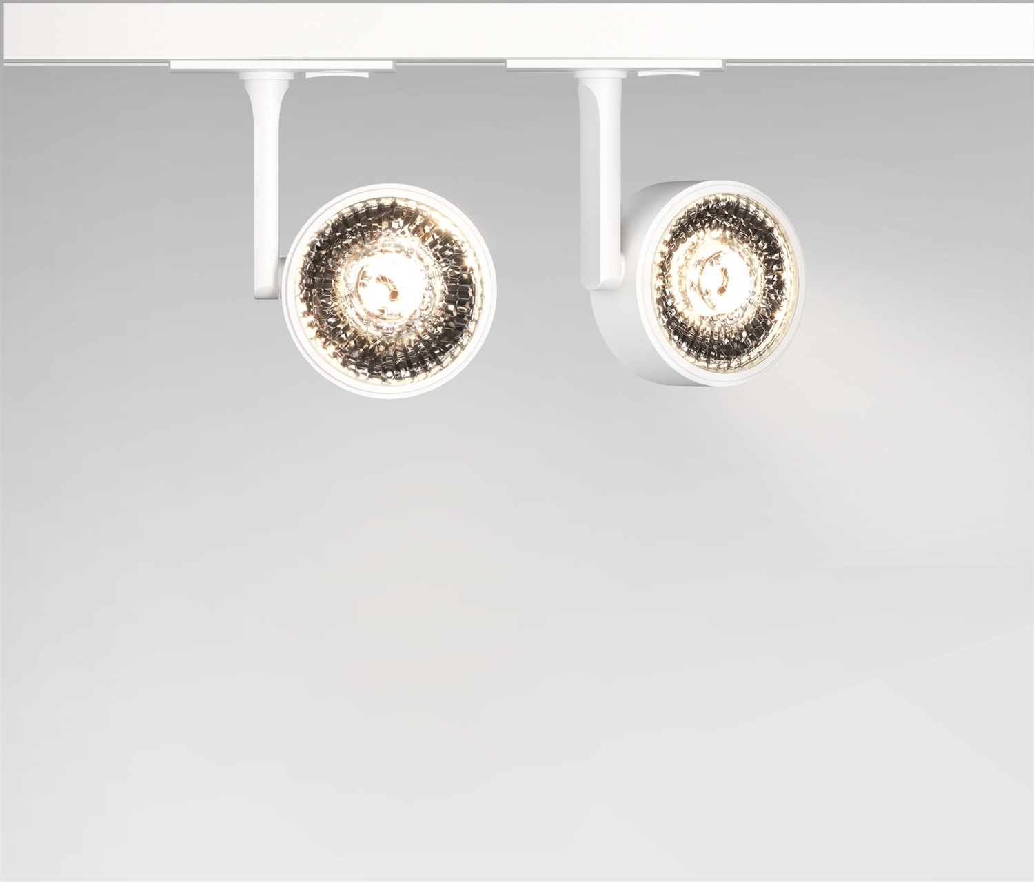 Maytoni Technical Oko Трековый светильник цвет: белый TR024-1-10W3K