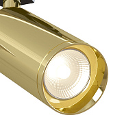 Maytoni Technical Focus Трековый светильник цвет: золото TR004-1-GU10-G